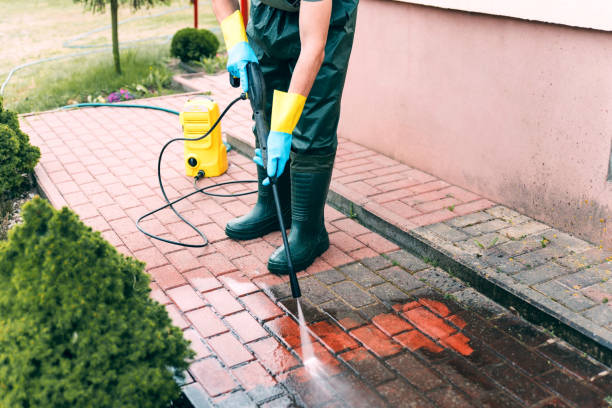 Best Power Washing Near Me  in Wyoming, IL