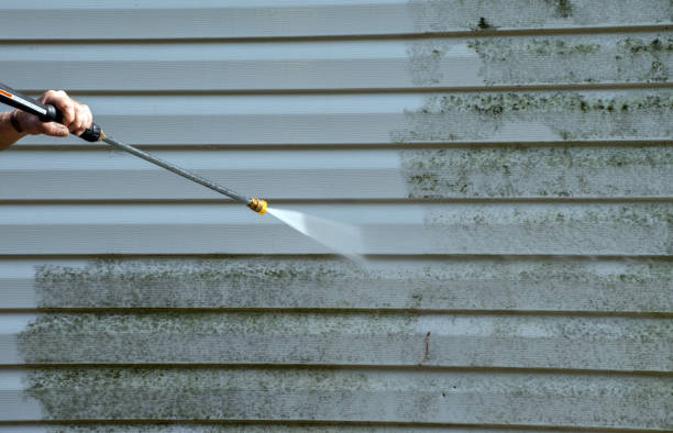 Best Garage Pressure Washing  in Wyoming, IL