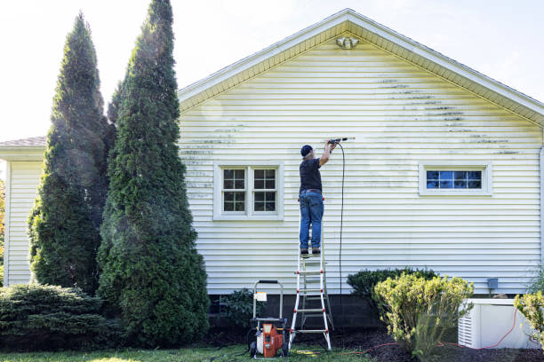 Best House Pressure Washing  in Wyoming, IL