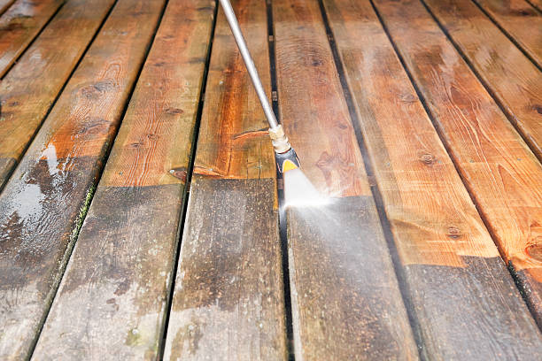 Best Pressure Washing Driveway  in Wyoming, IL